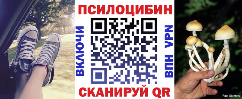 цена   Новошахтинск  Галлюциногенные грибы ЛСД 